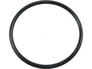 ARS2011(BULK) AS - ARS2011(BULK) - ORING 