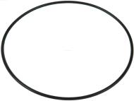 SRS5062S(BULK) AS - SRS5062S(BULK) - USZCZELKA ROZRUSZNIKA 